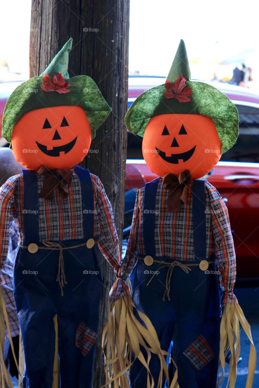 Orange pumpkin head scarecrows for autumn or Halloween decor 