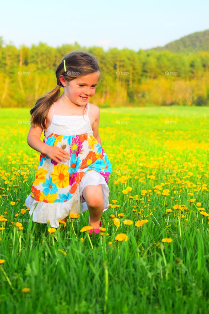 running free in a field of dandelions