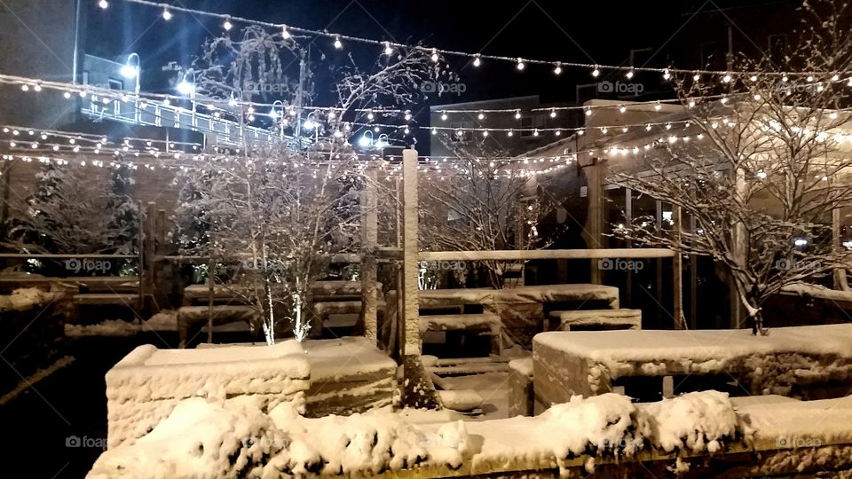 First snow. Wicker Park Chicago