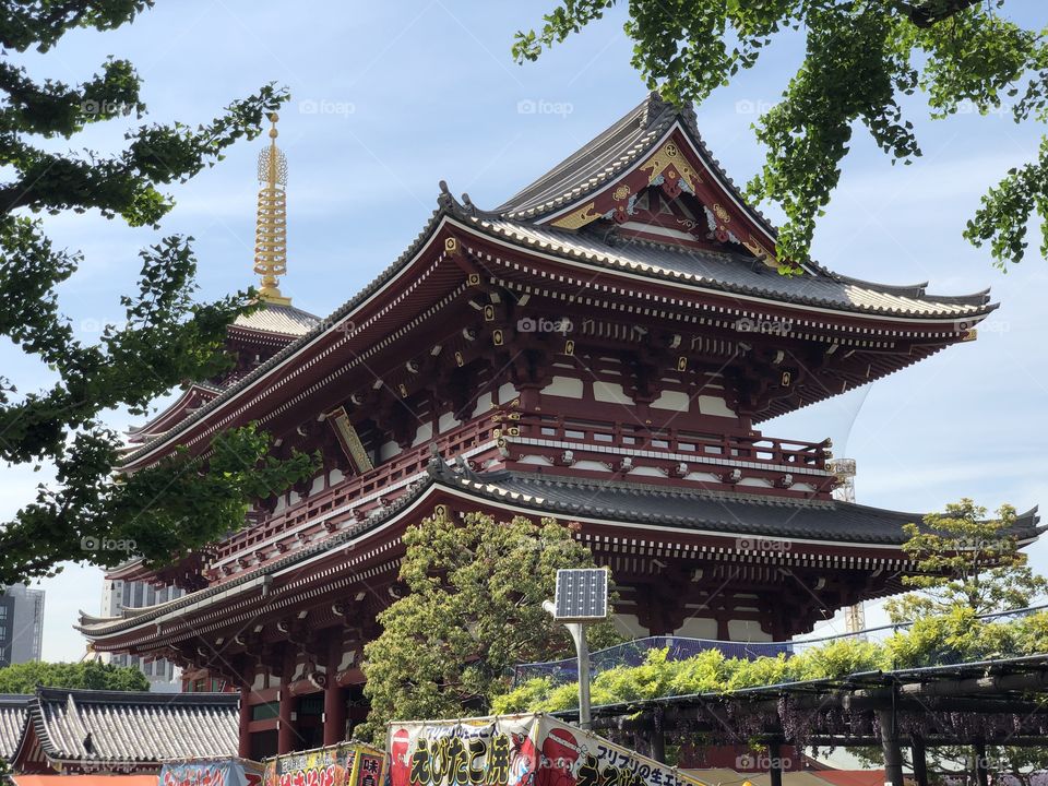 Temple Tokyo 