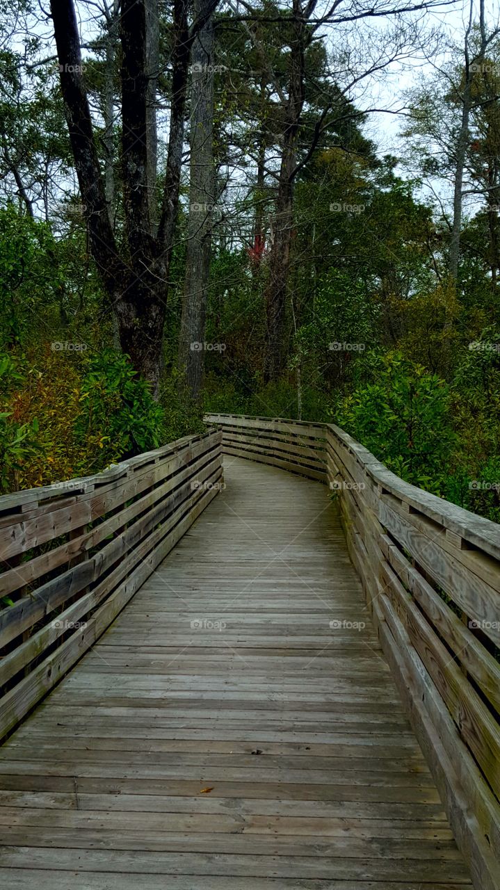 Sandy Run Park boardwalk
