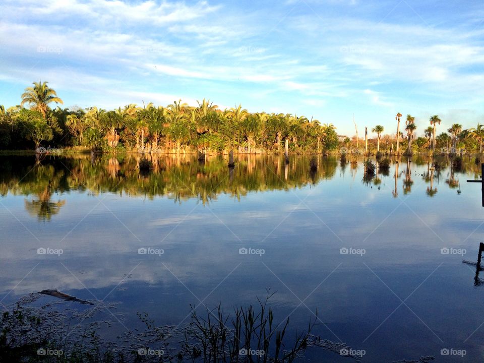 Pond of Birds. This is a picture for one pond of Nobres at the state of Mato Grosso- Brazil.