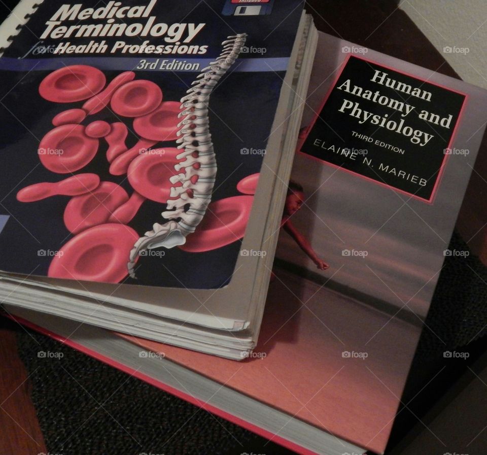 Studying medical terminology and human anatomy/physiology