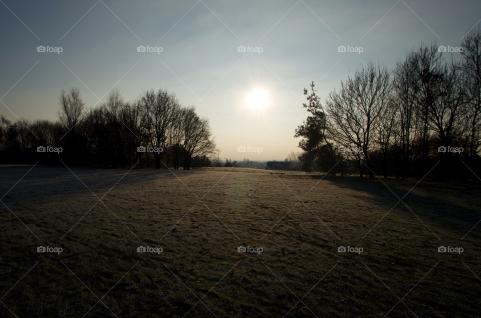 sky tree frost sunshine by richnash82