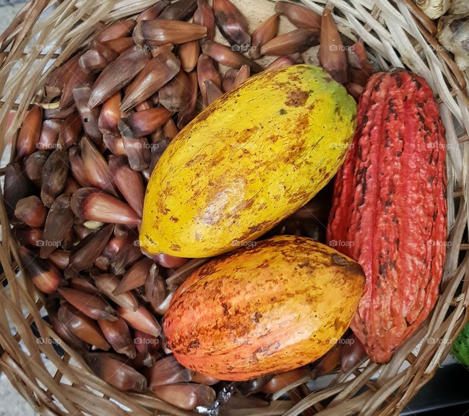 Cocoa nas pine nuts