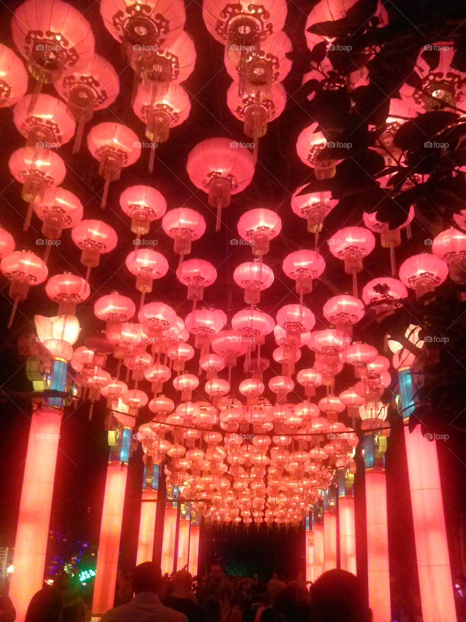 Chinese lanterns. Chinese lantern display