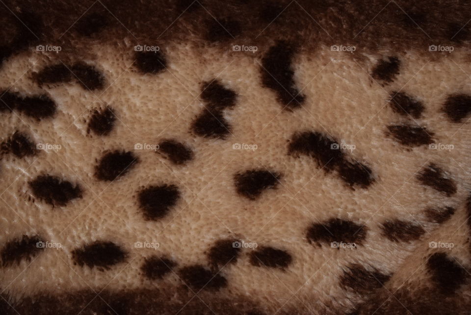 Fur Texture