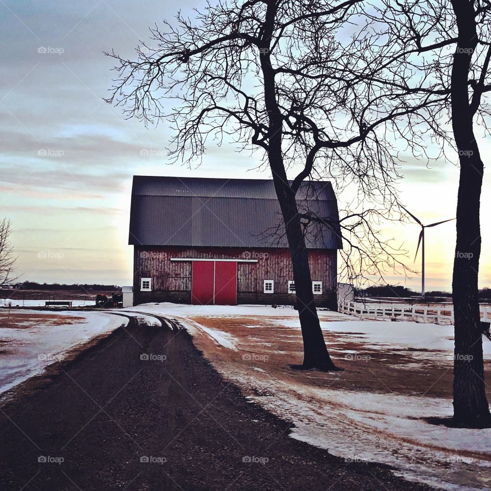 Evening on the farm 