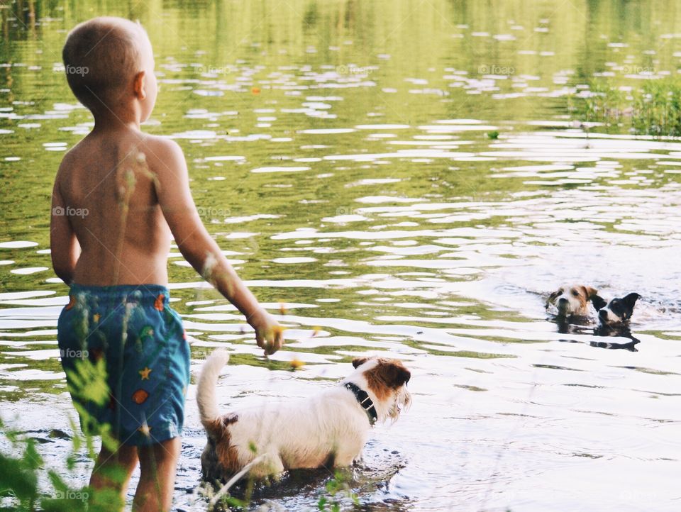 Boy and dogs bathing in the lake