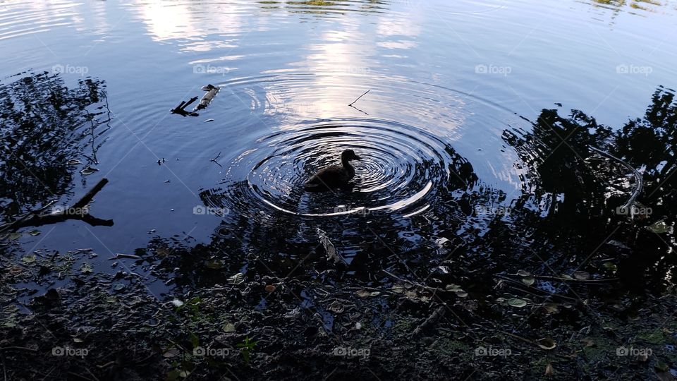 The glorious Mother Nature