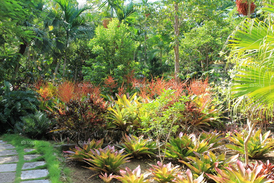 Nassau Garden