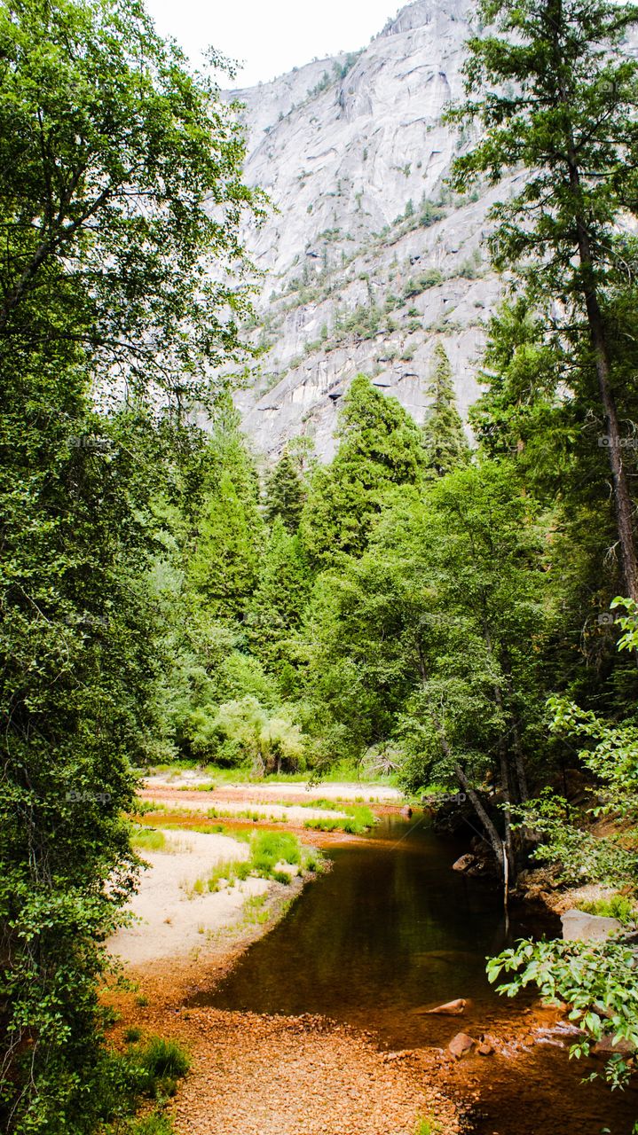 Scenic view of mountain range