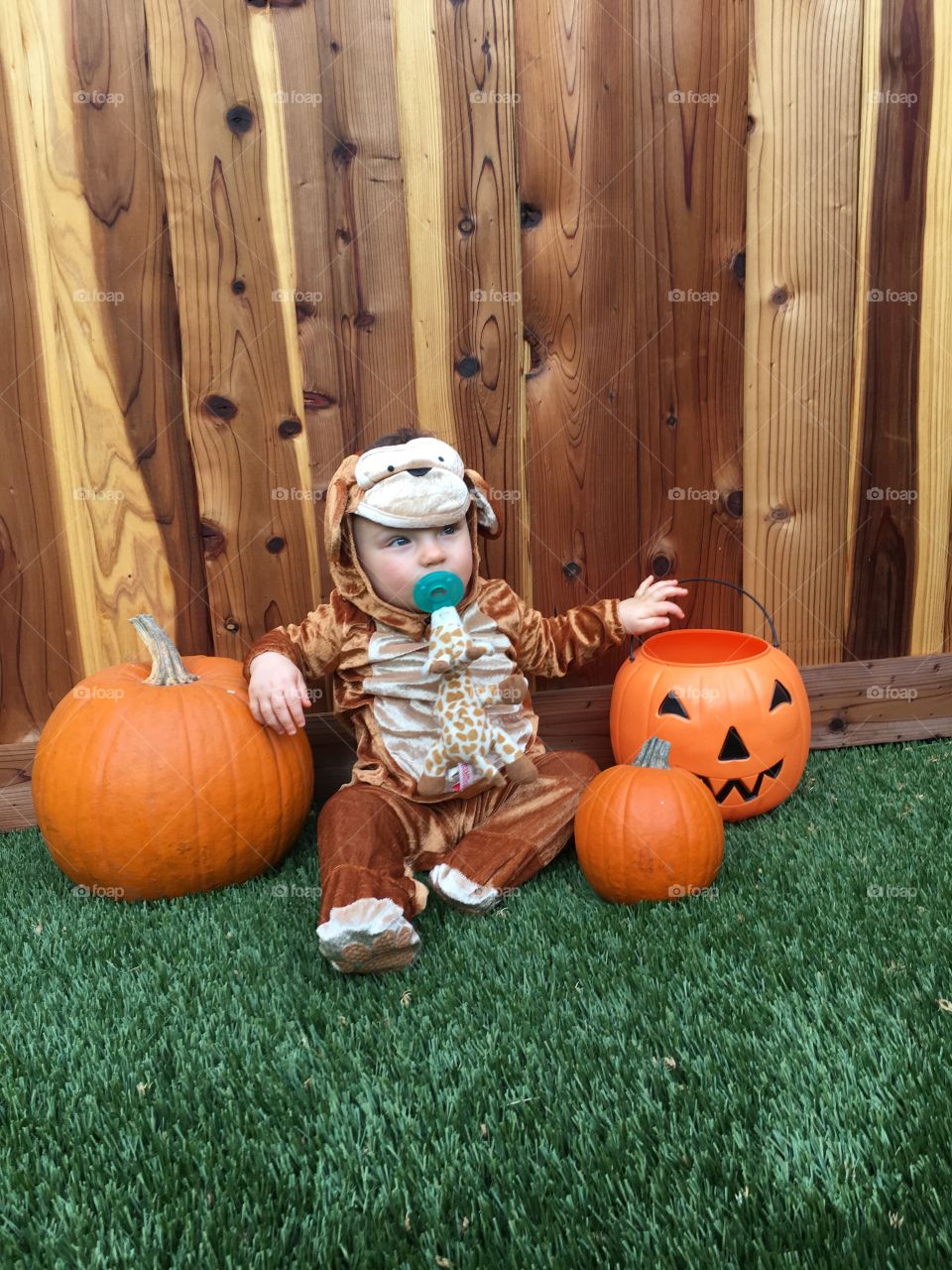 Wood, Halloween, Pumpkin, Wooden, Fall