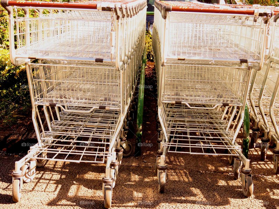 shopping carts