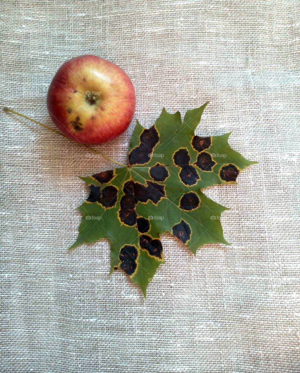 apple and leaf