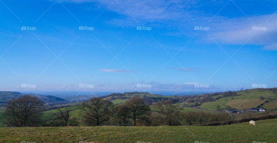 Hills, trees and fields in Wales