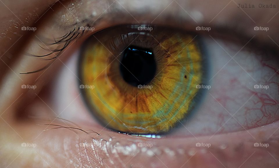 All rights are reserved