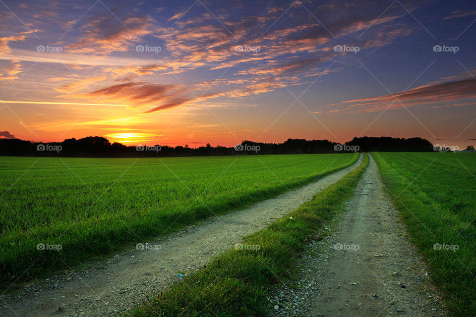 Rural, Landscape, Grass, Sun, Nature