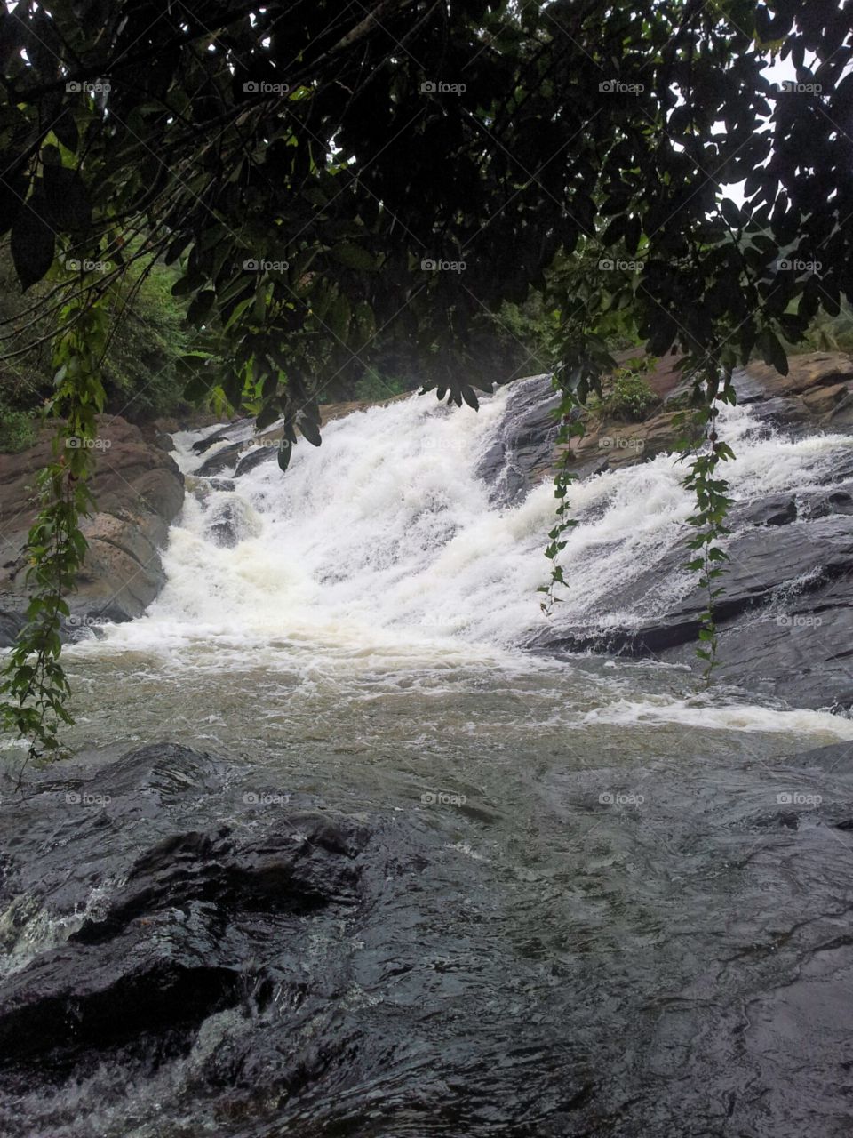 Waterfall in Sri Lanka