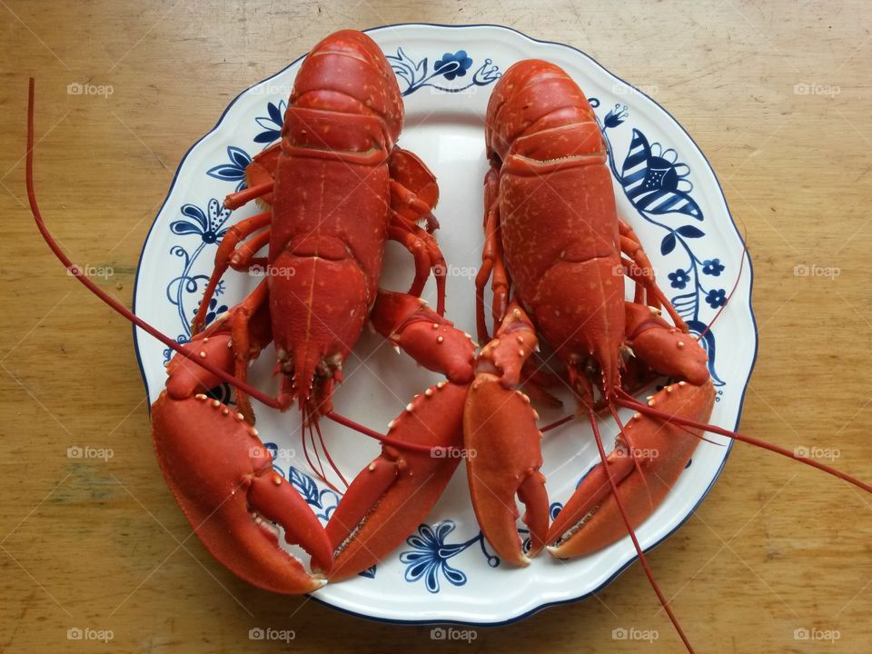 Two Lobsters on a plate