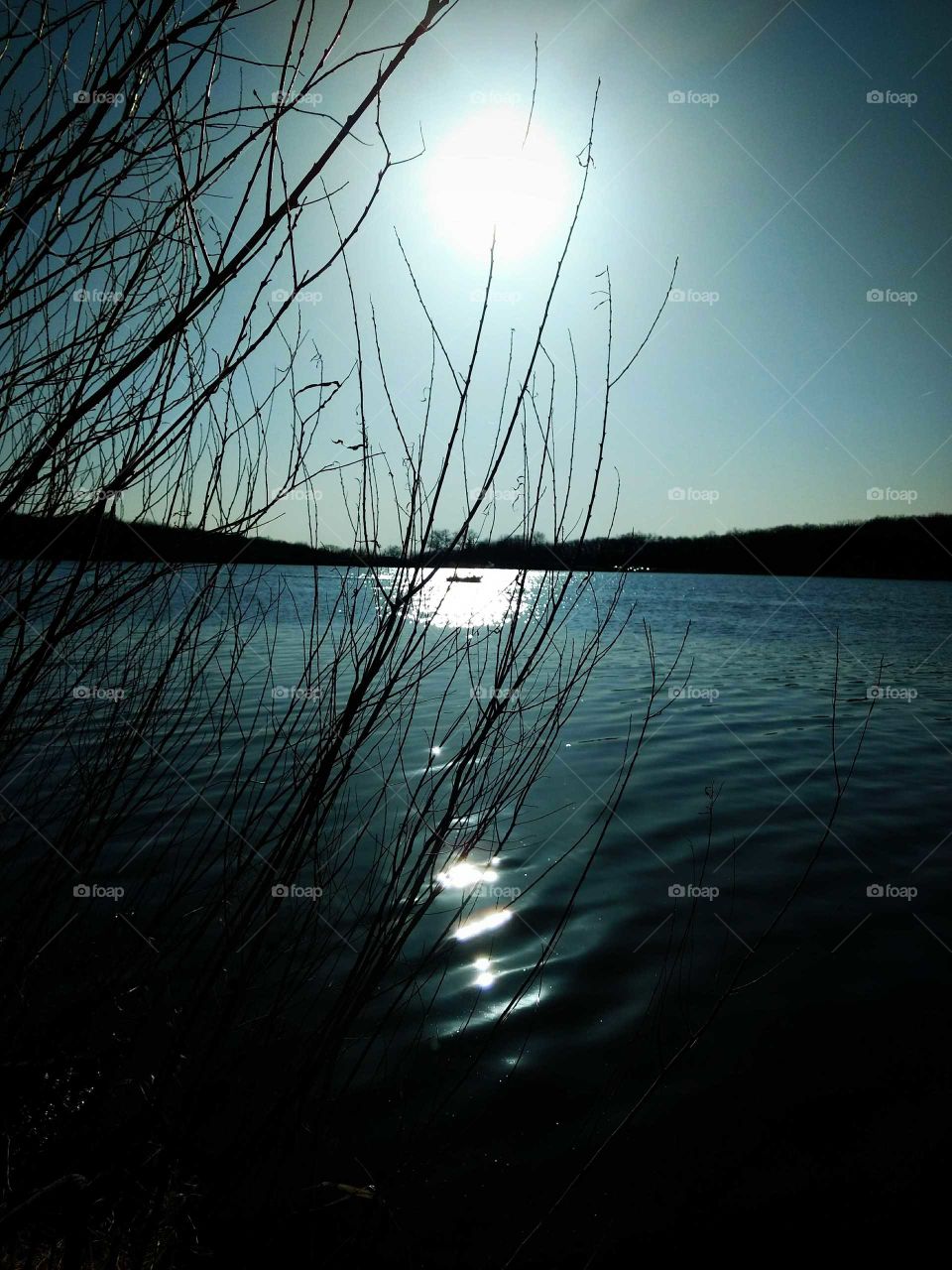 Sun reflecting in the water