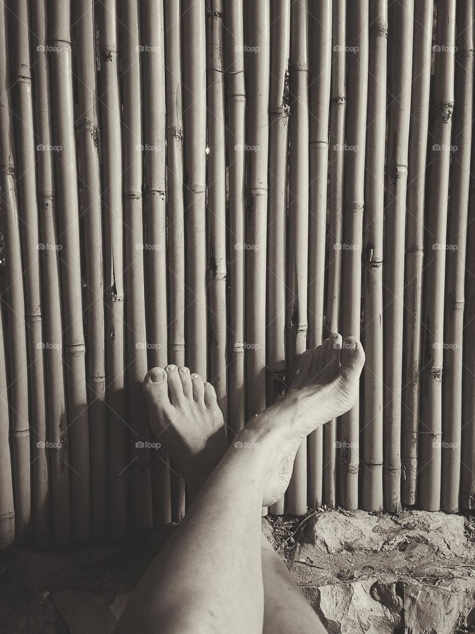 Feet