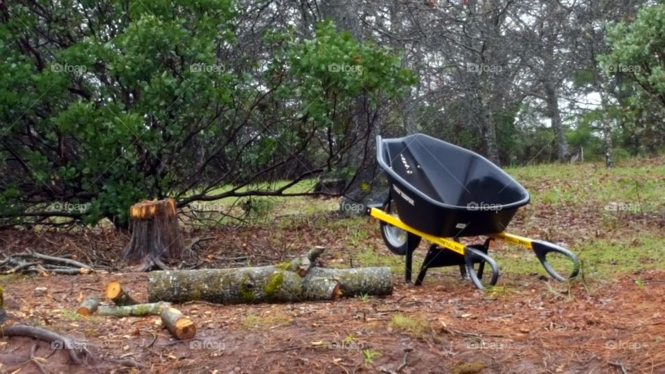 stopping yard work when rain starts