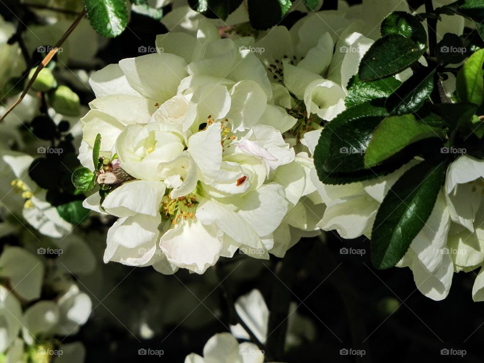 Simplicity & Elegance