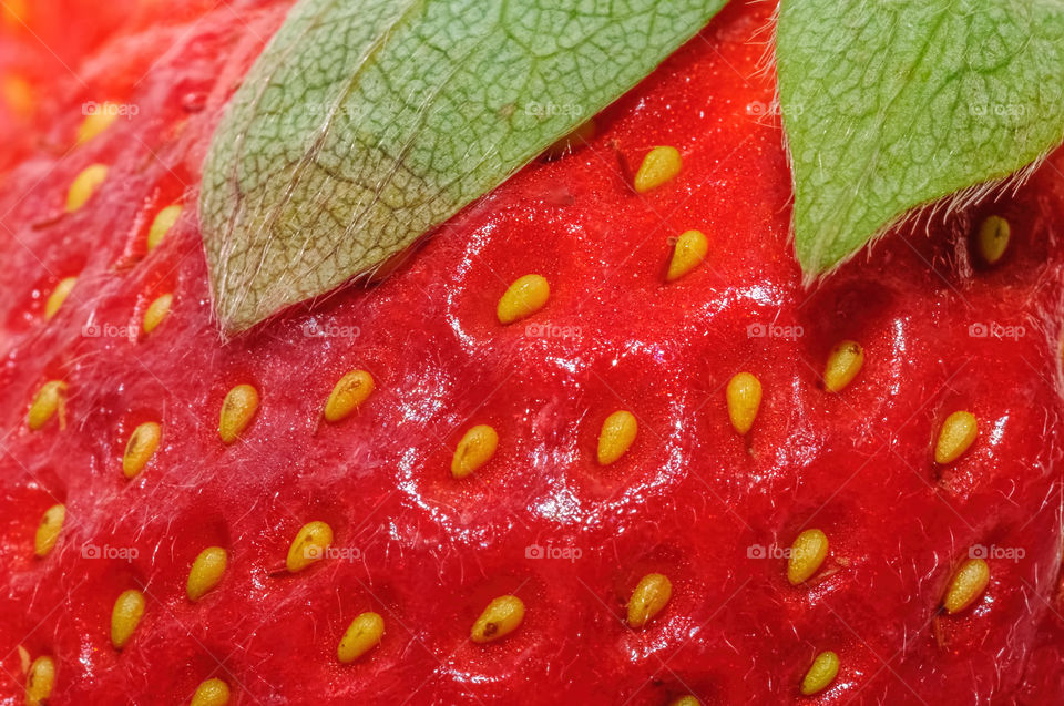 Closeup of strawberry surface features, with details in high resolution.