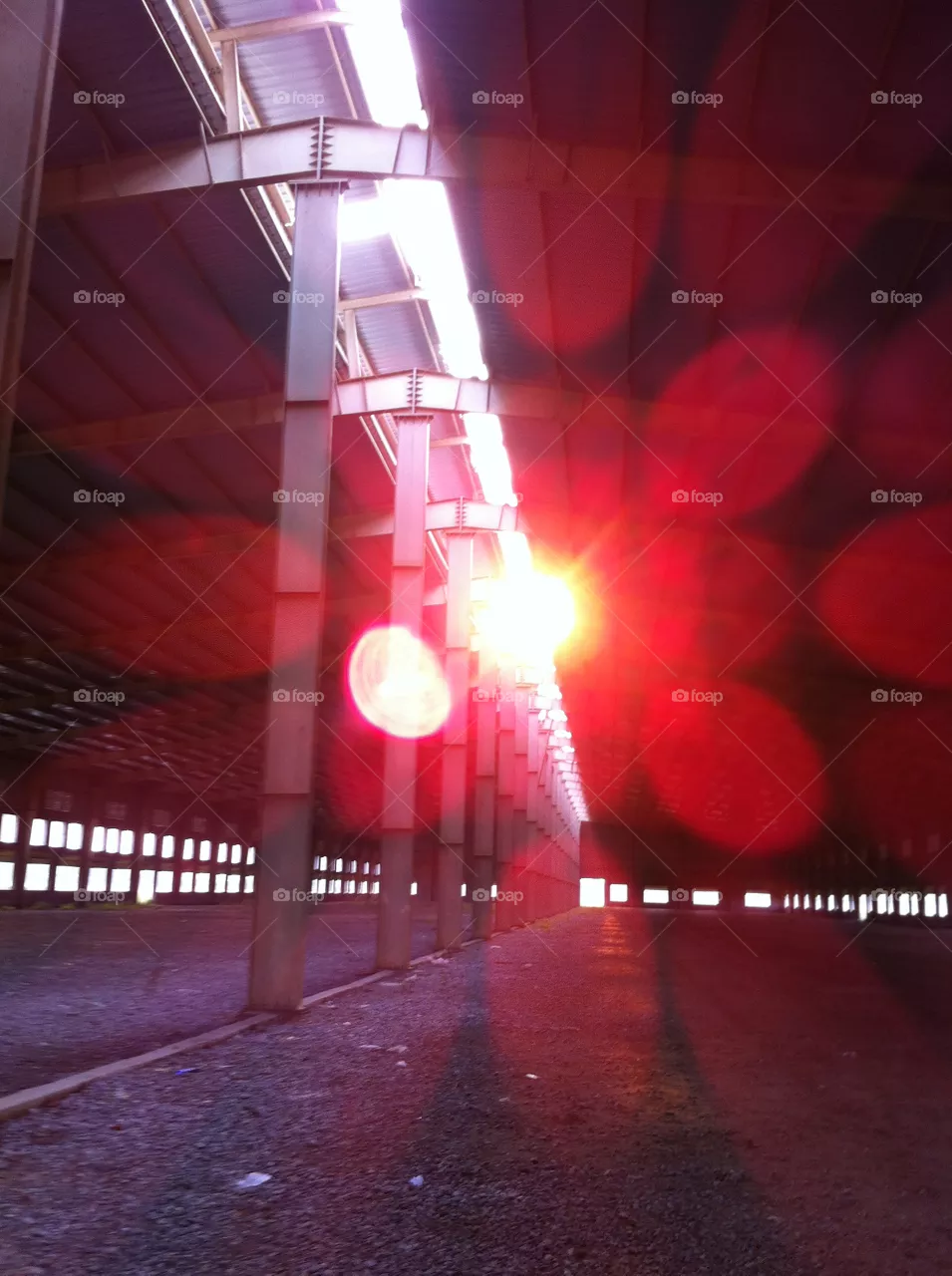 The light