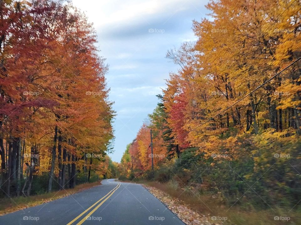 Autumn On The Road In Pennsylvania