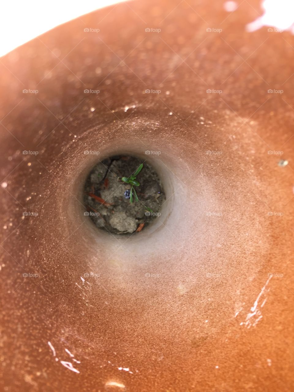 Overhead shot down a pvc painted copper pipe.