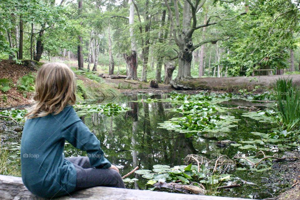 Magical pond in the green forest