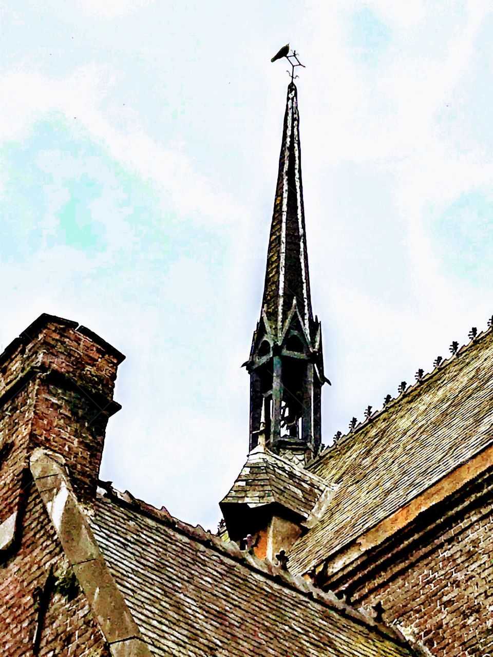 Crow claiming bell tower