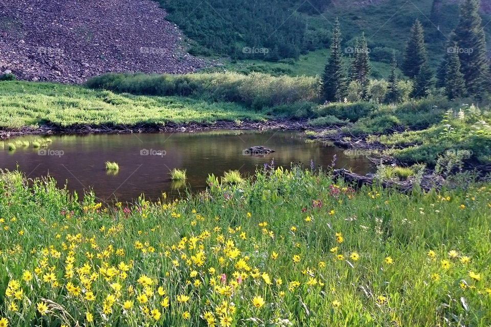 Mountain Pond - Snowbird Utah. Hiking trip with friends,  July 2015, at the Snowbird Resort in Utah.