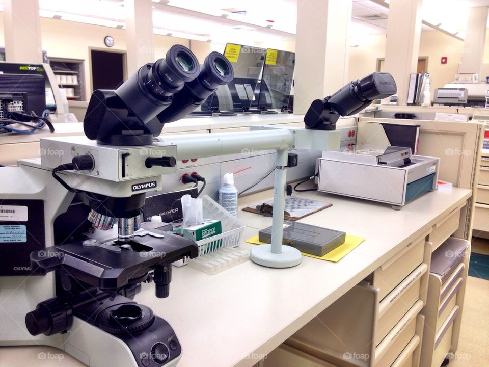 Microscopes in a laboratory