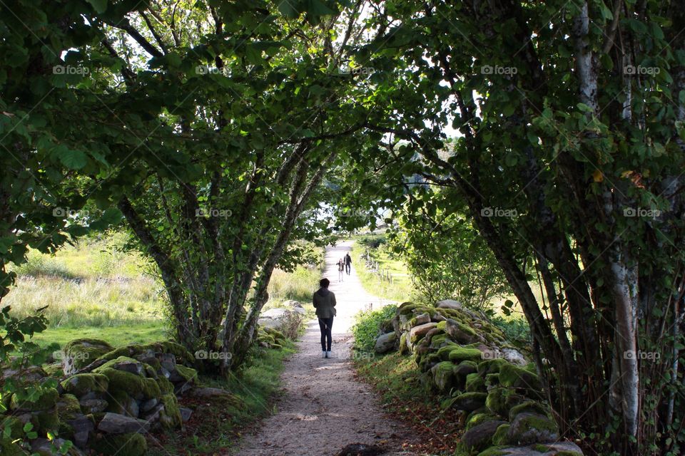 Rear view of a person walking on foothpath