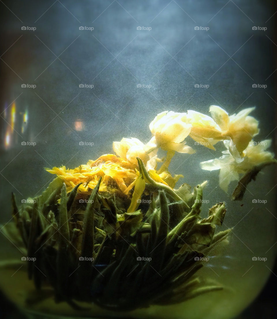 green flower chinese tea by hexoic