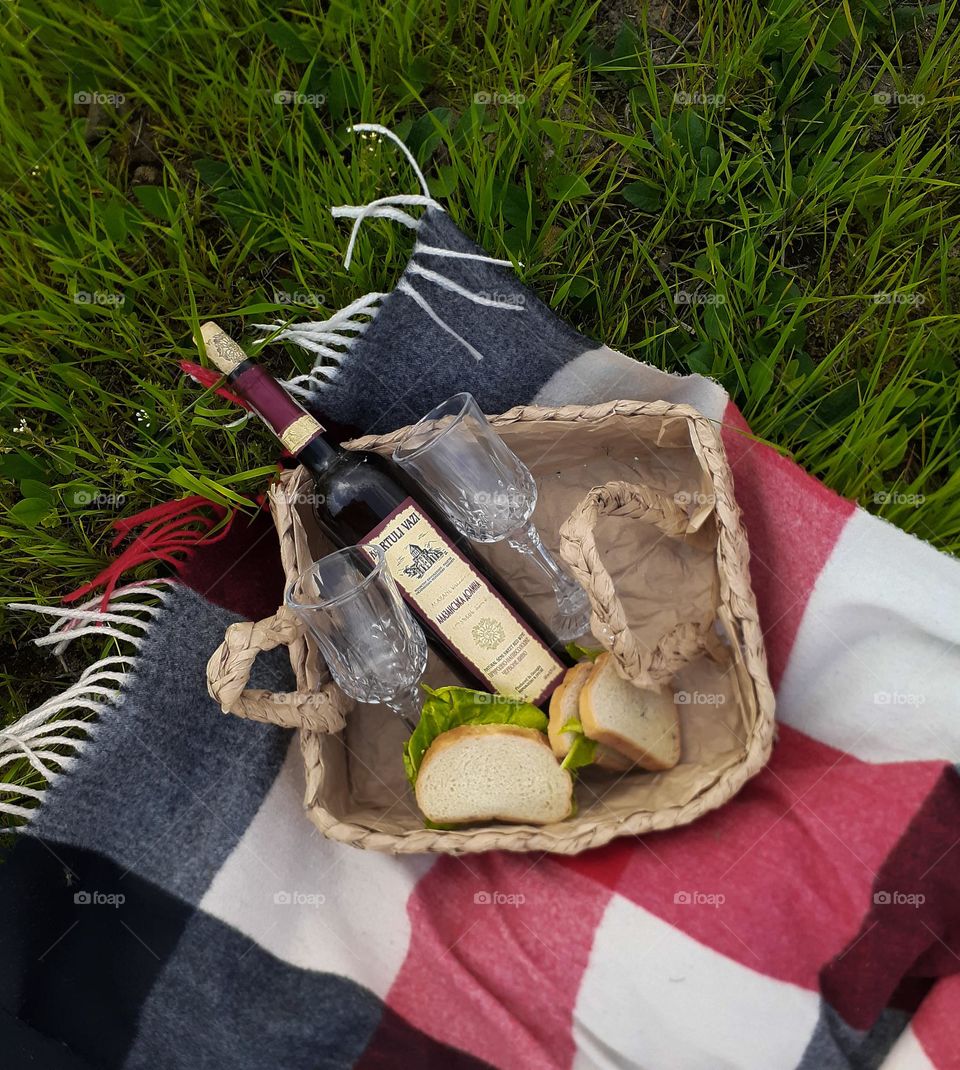 picnic with wine and sandwiches on green grass with a red blanket. The photo shows the contrast of complementary colors, namely green and red