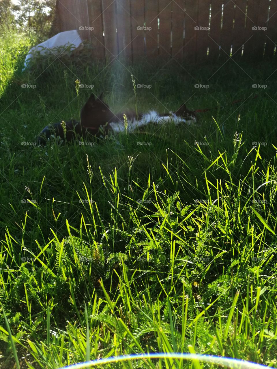 Insta and Miles ❤️💙