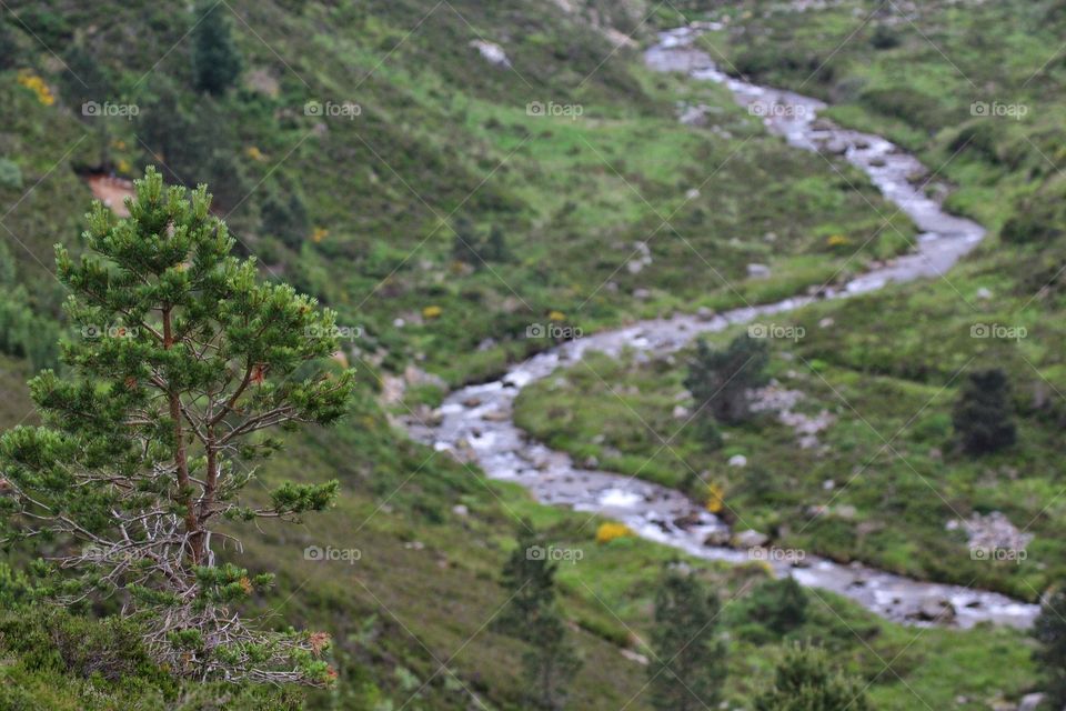 Hiking Cromdale, Scotland