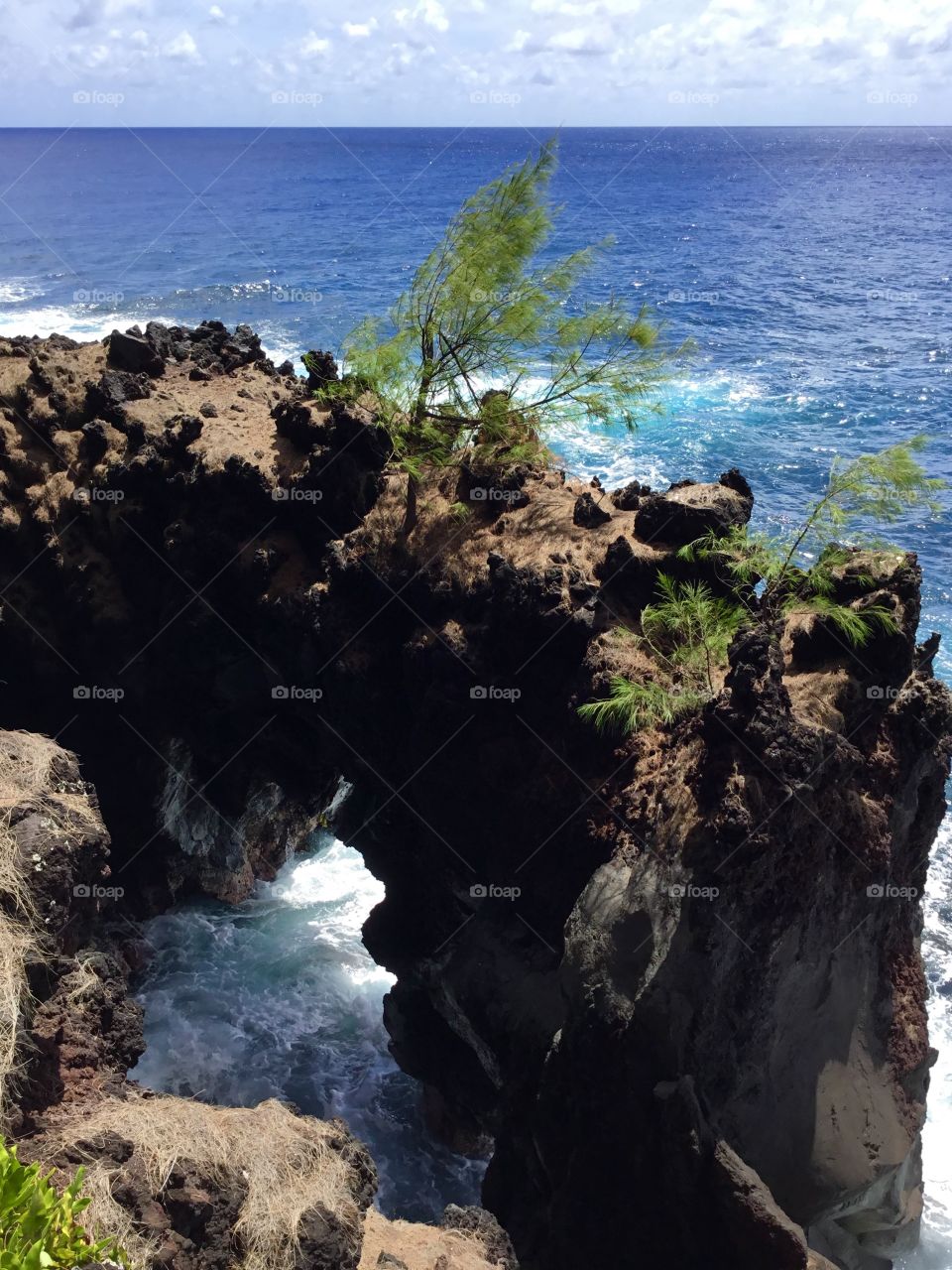 Sea arch of lava