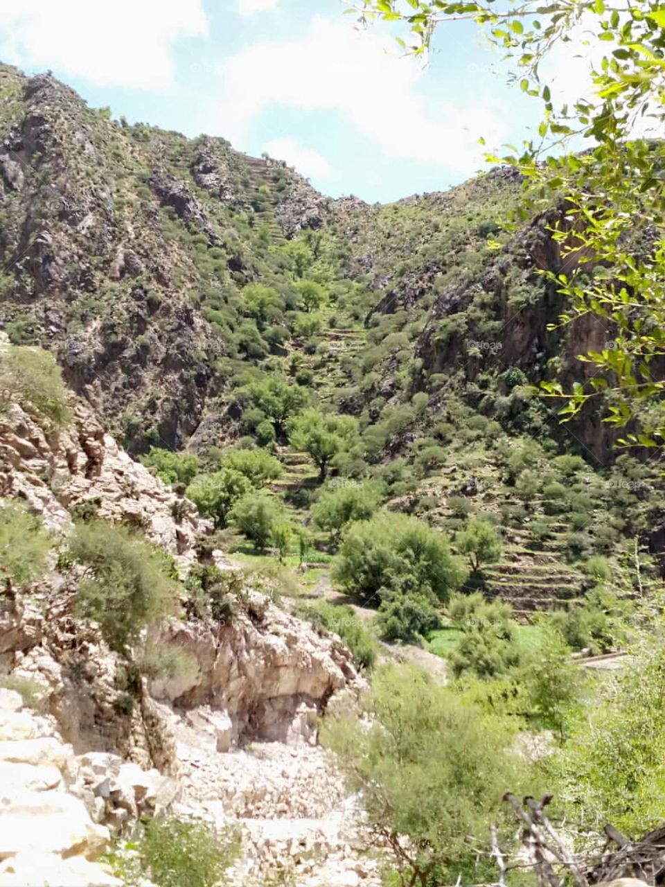 Glory be to God, the magnificent and picturesque view and the natural green trees are a view that is nothing more wonderful than it