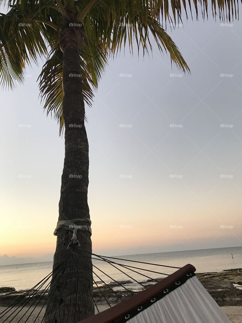Key West Hammock Heaven 