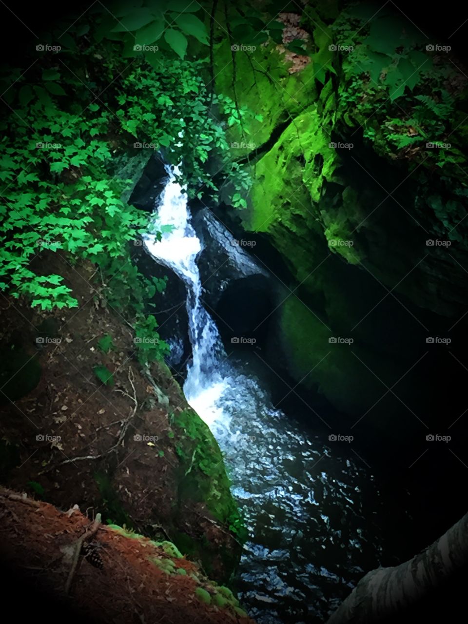 Secret forest waterfall...