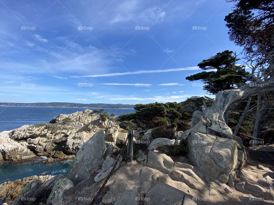 Point Lobos State Natural Reserve