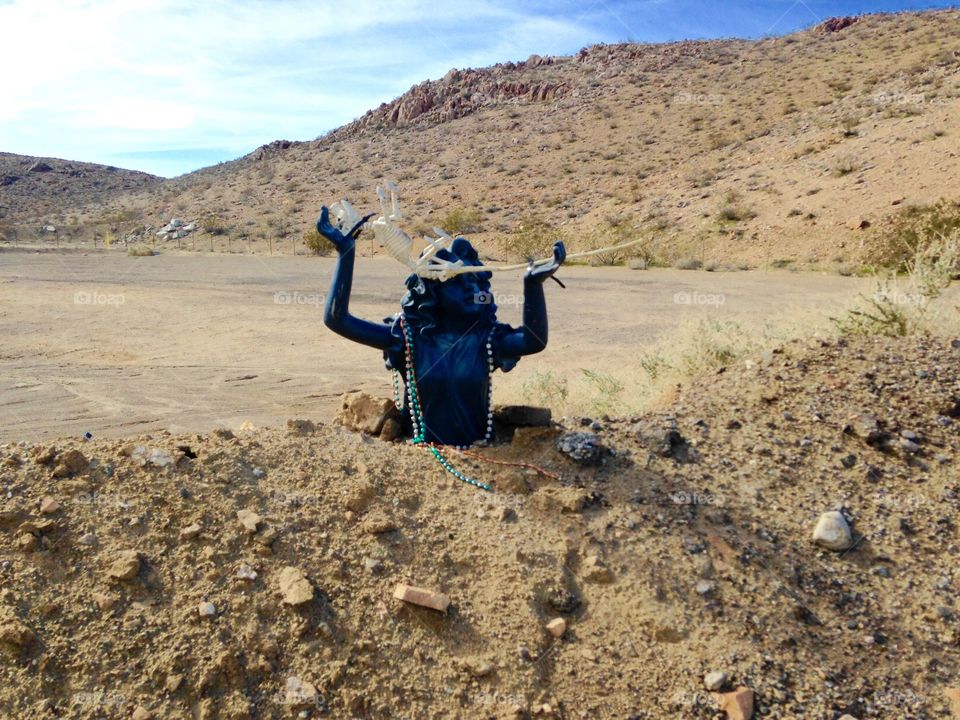 Guardian of the desert