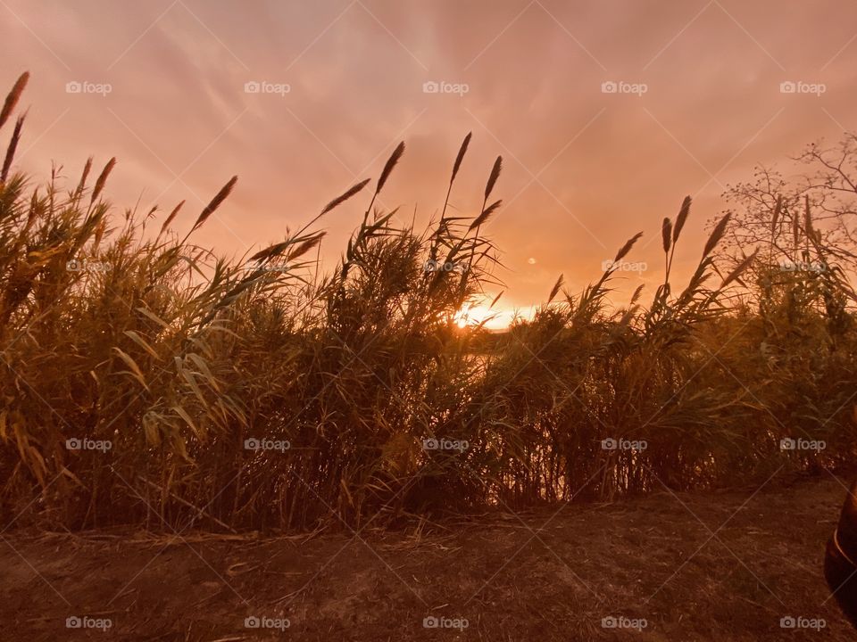 A glimpse of colour appearing in the high clouds signalling that some heat is still visible. 