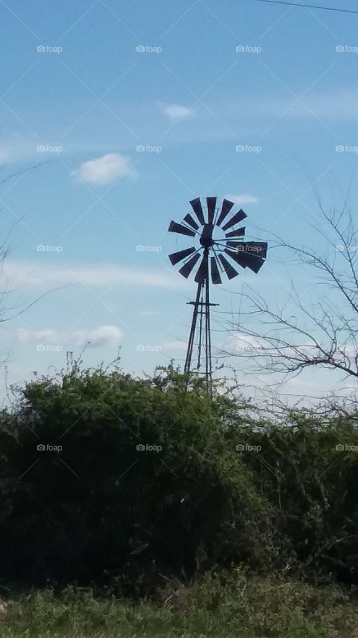 windmill