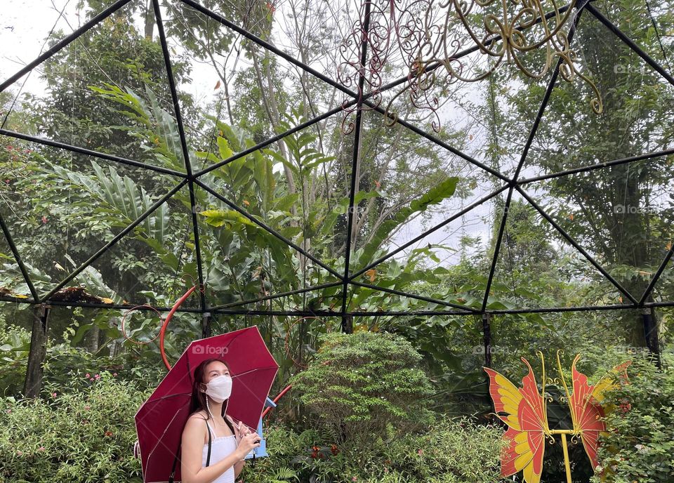Inside a Butterfly Dome